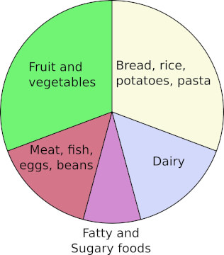 Food nutrition checker