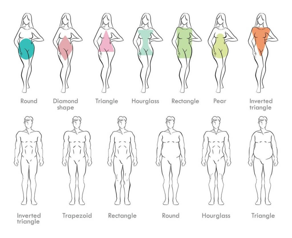 Body shape calculator men