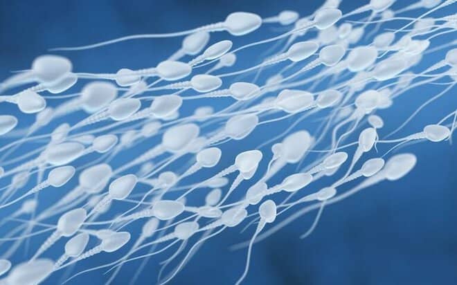 Sperm cramps